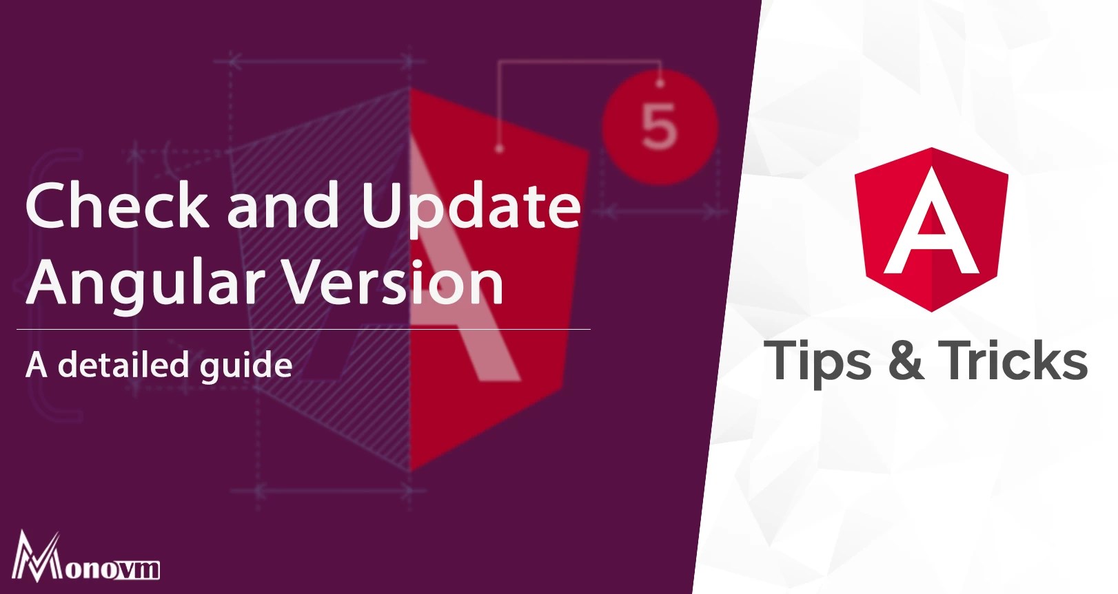 How to check angular version? [Update Angular]