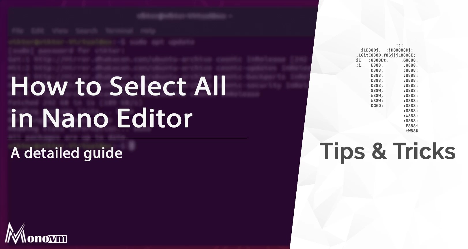 How to Select All in Nano Editor Nano Select all