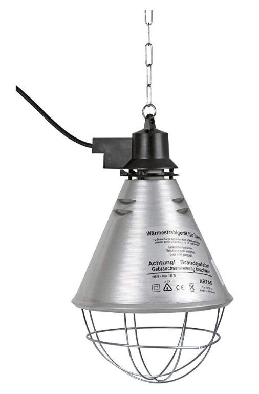 Lampe chauffante poussin Quelle lampe choisir ? Avis