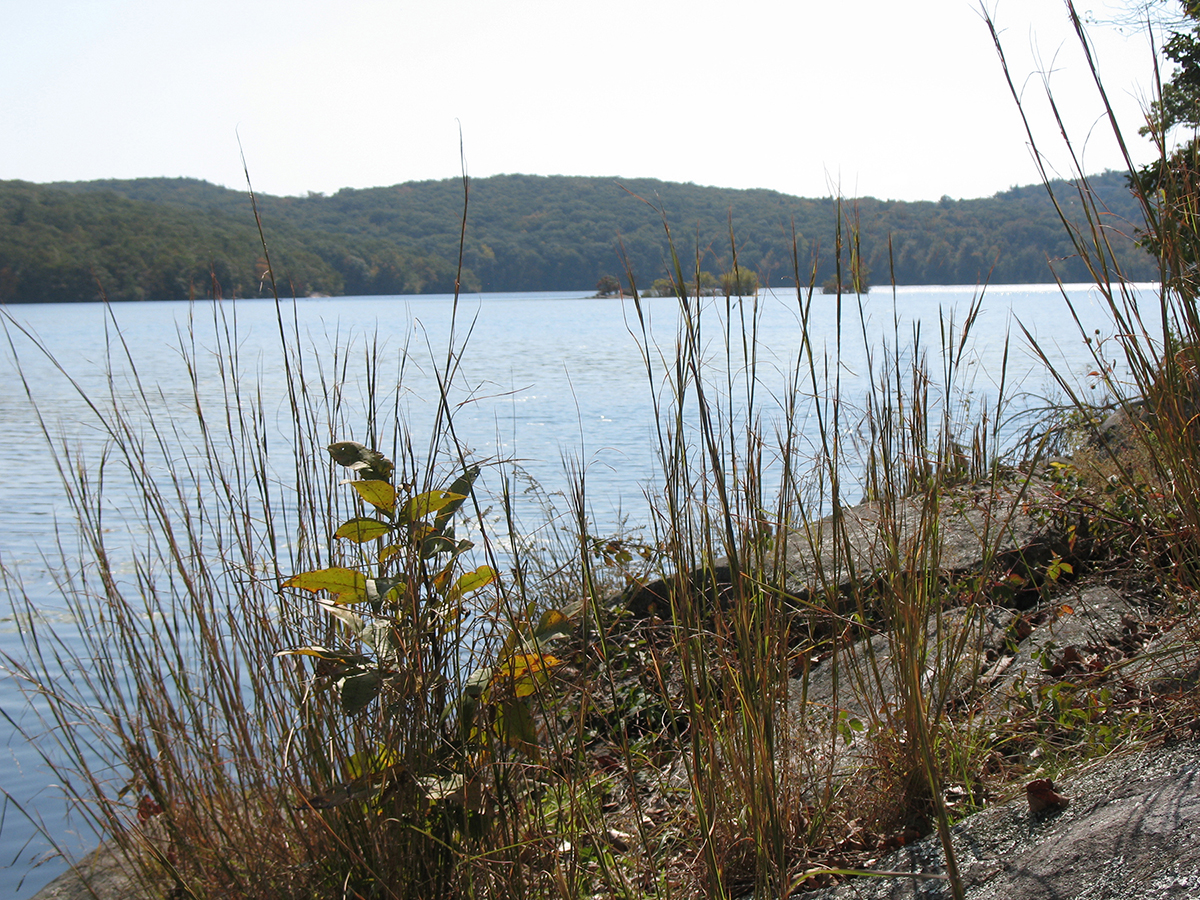 Town of Monroe, New York > Community > Parks & Recreation > Mombasha Lake