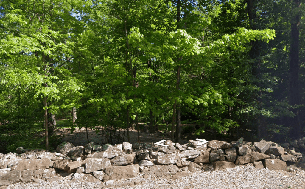 Rockland County Expands Green Spaces with 1.8 Million Purchase of New City Land Monsey Scoop