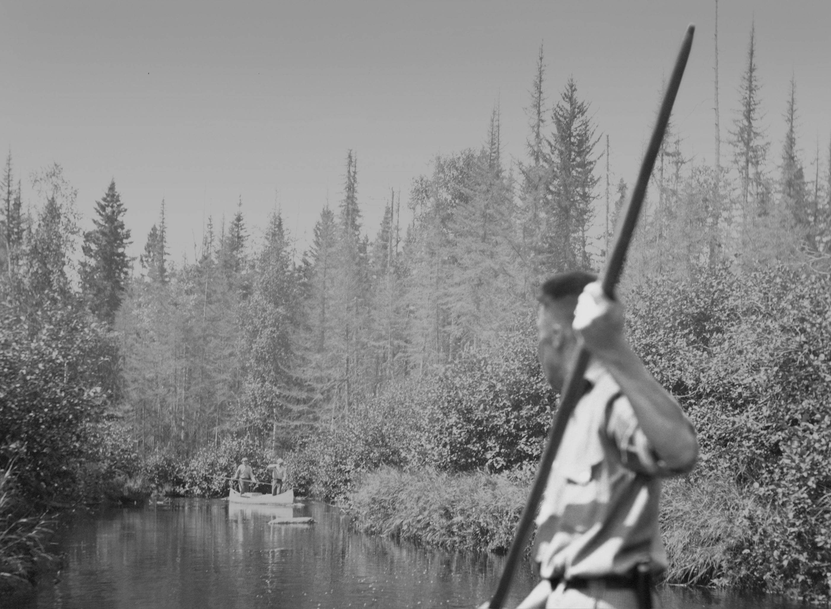 'Maine's Woods' on view at the Monson Arts Gallery Monson Arts