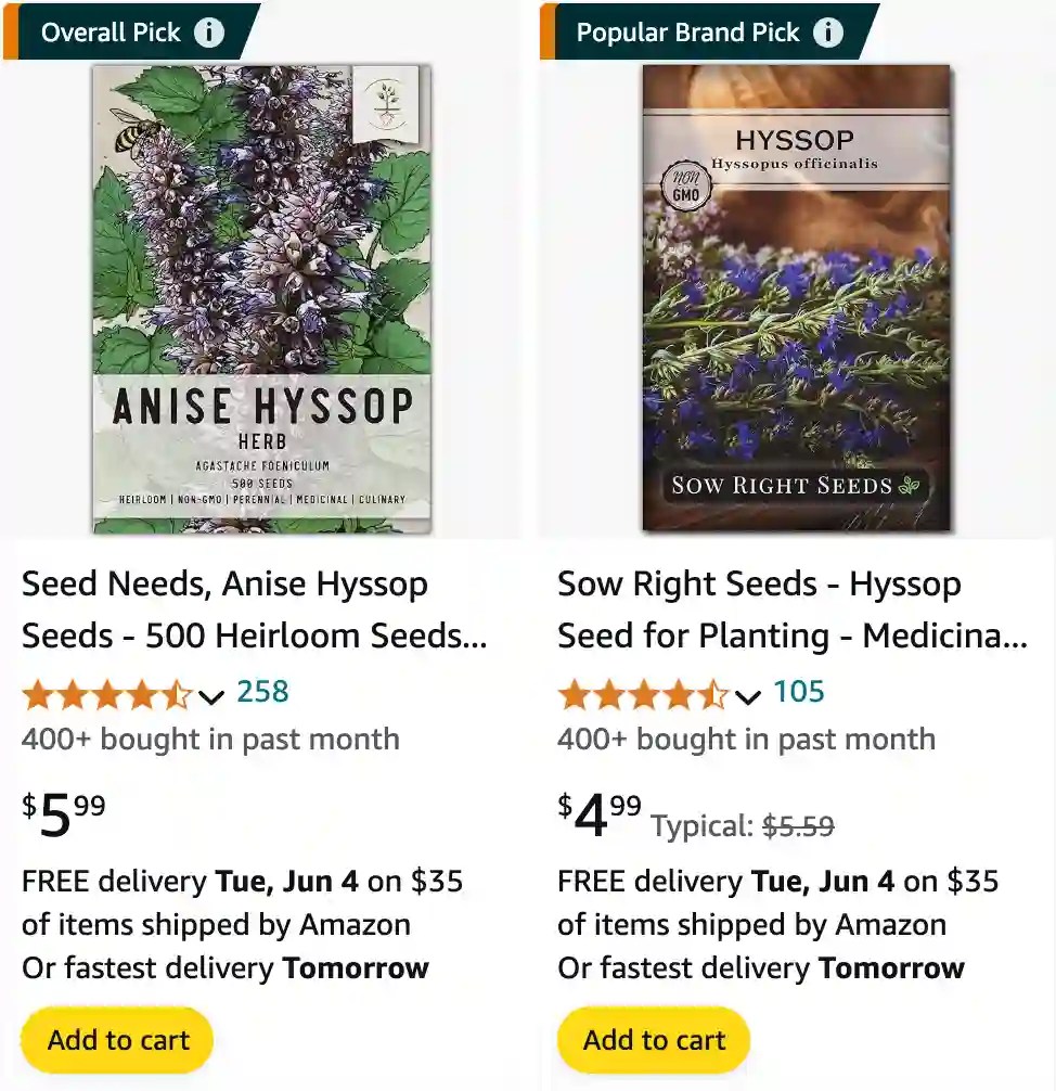 Plant FAQs Anise Hyssop Agastache Foeniculum