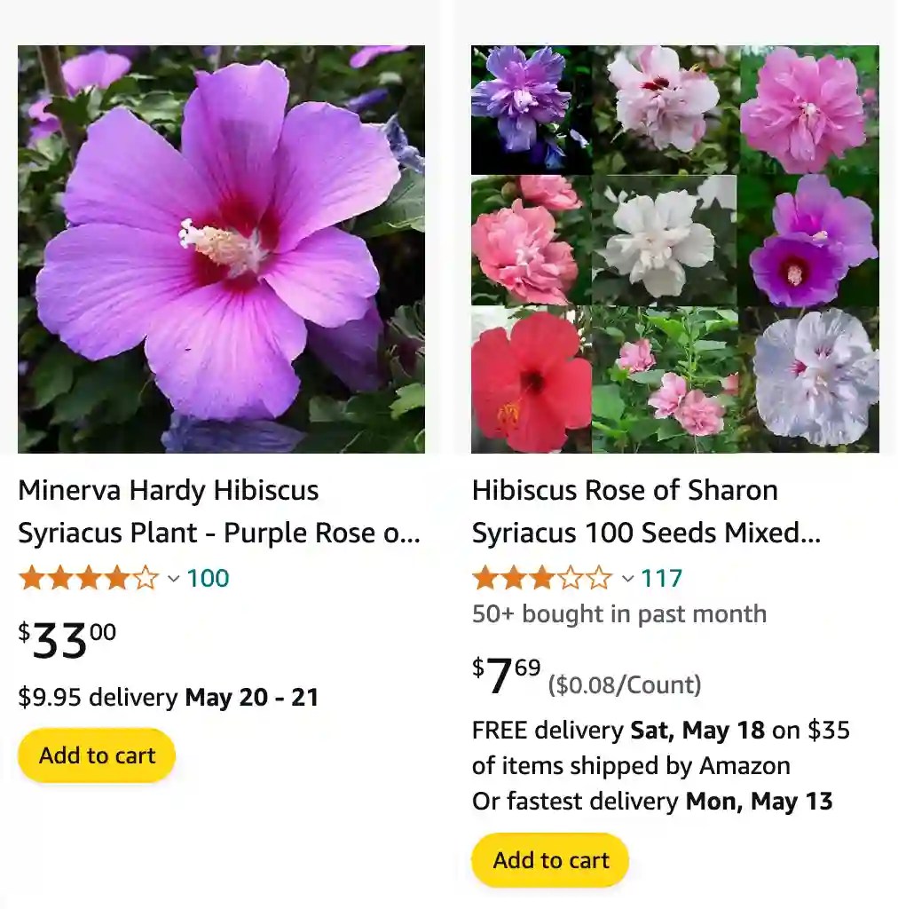 Plant FAQs Hibiscus Syriacus Rose of Sharon
