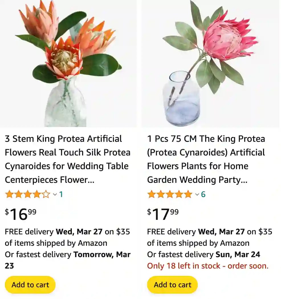 Plant FAQs Protea Flower