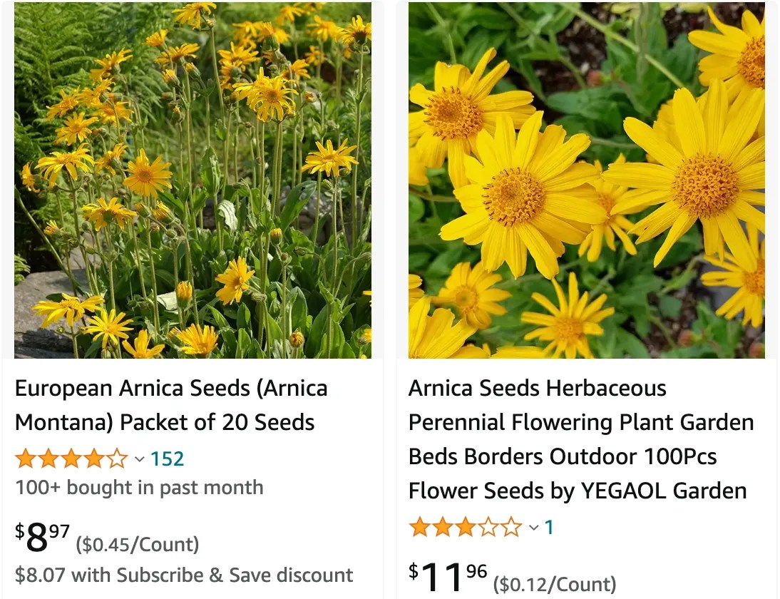 Plant FAQs Arnica Flowers