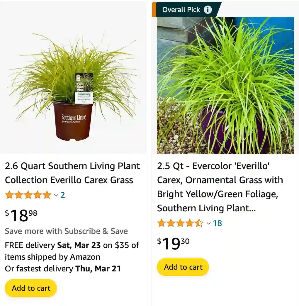 Plant FAQs Carex Everillo