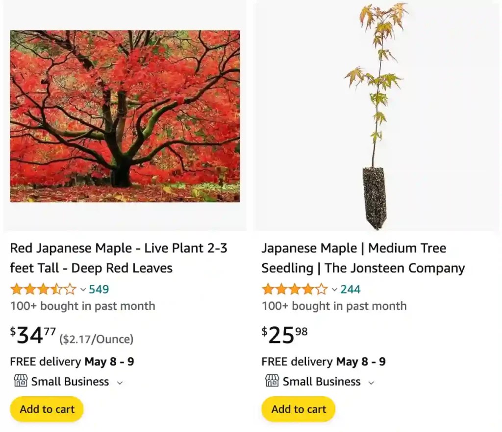 Plant FAQs Japanese Maple