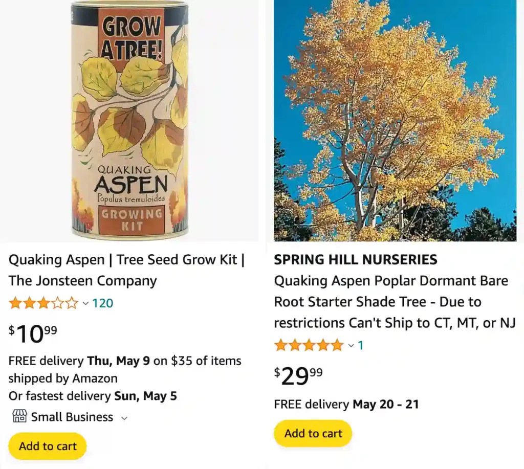 Plant FAQs Aspen Tree