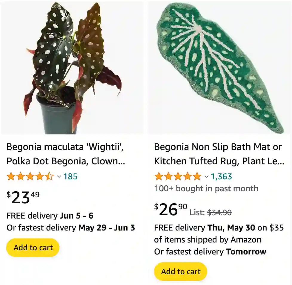 Plant FAQs Begonia