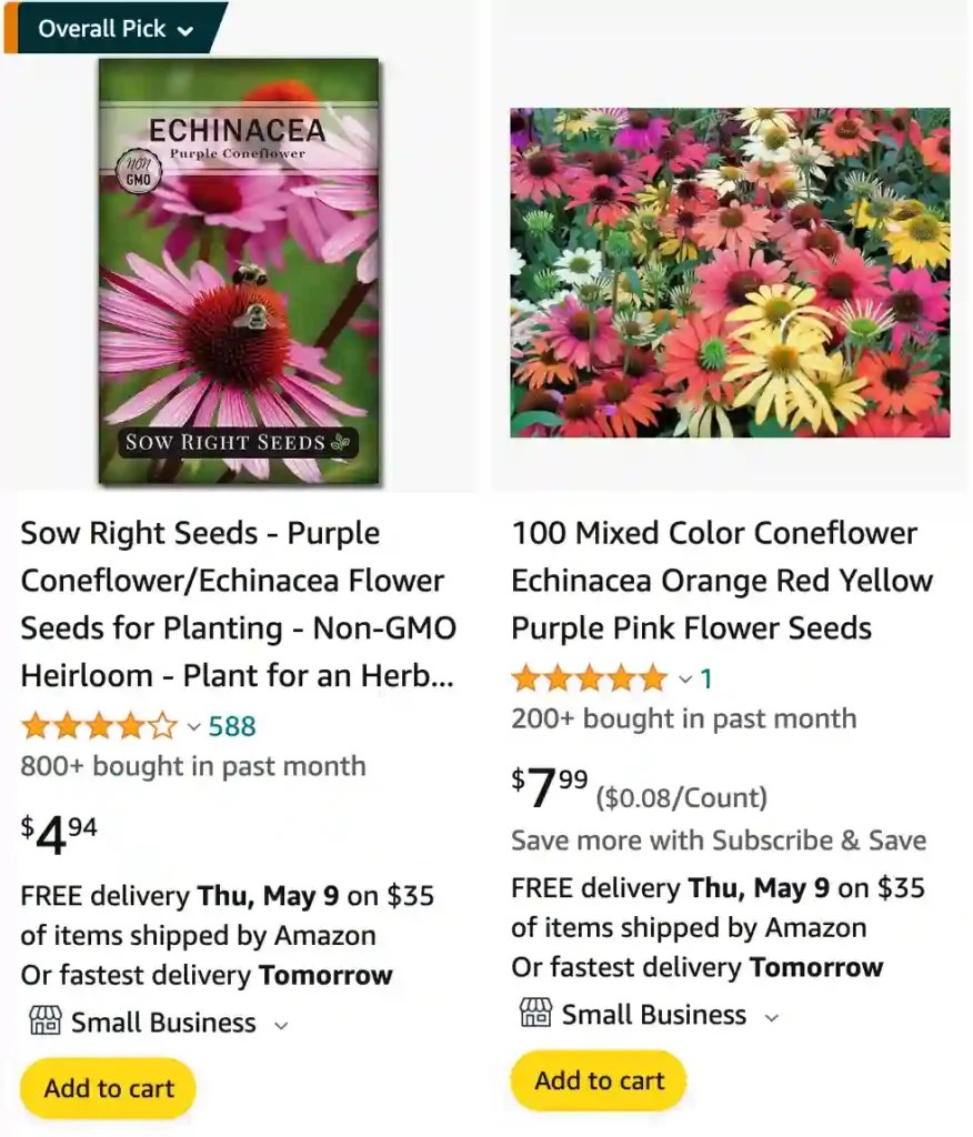 Plant FAQs Coneflower