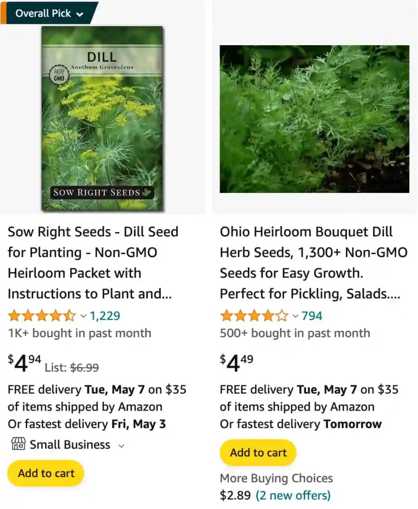 Plant FAQs Dill Plant