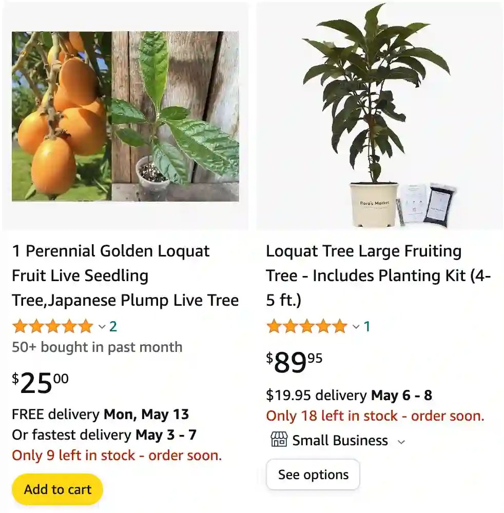 Plant FAQs Loquat
