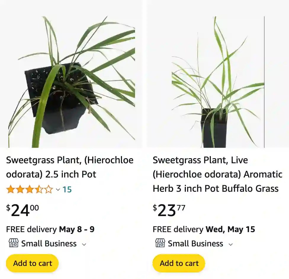 Plant FAQs Sweetgrass