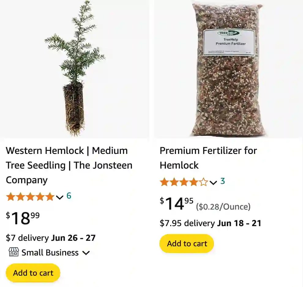 Plant FAQs Hemlock Tree