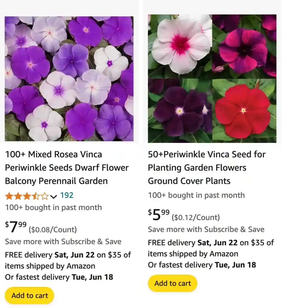 Preguntas frecuentes sobre plantas Vinca