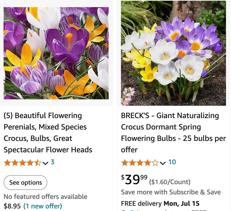 Plant FAQs Crocus