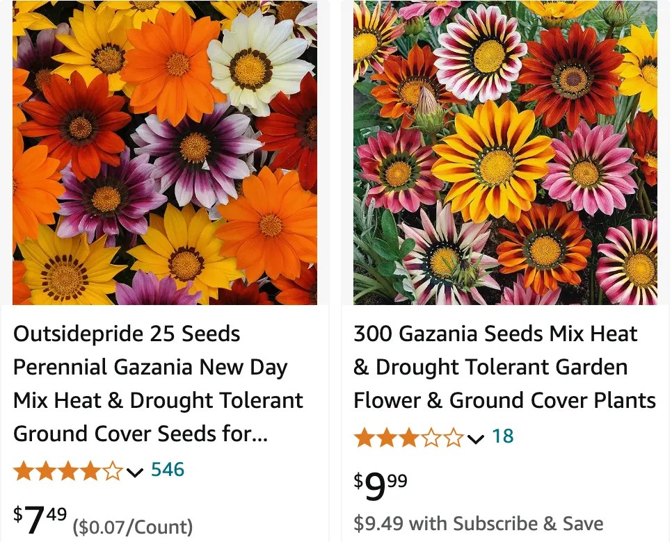 Plant FAQs Gazania