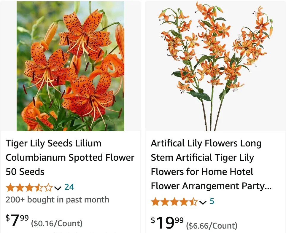 Plant FAQs Tiger Lily Lilium Lancifolium