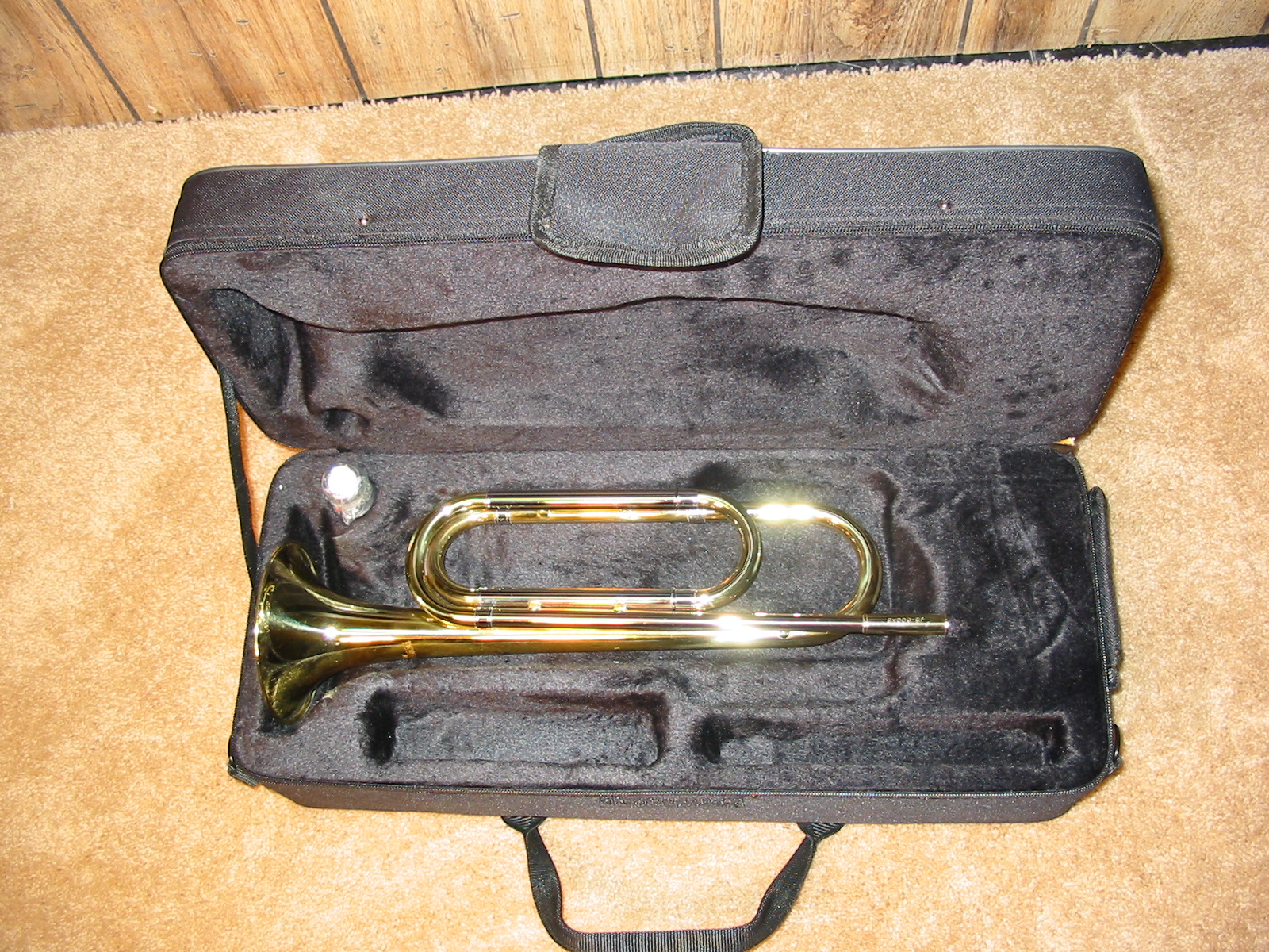 Bugle Cases