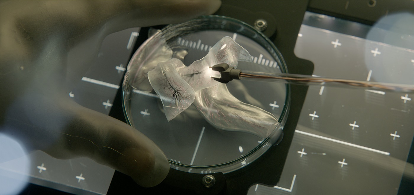 Life Movie Calvin / Calvin Of Mars Monster Legacy You'll have access to a huge. Aqslmprqhg