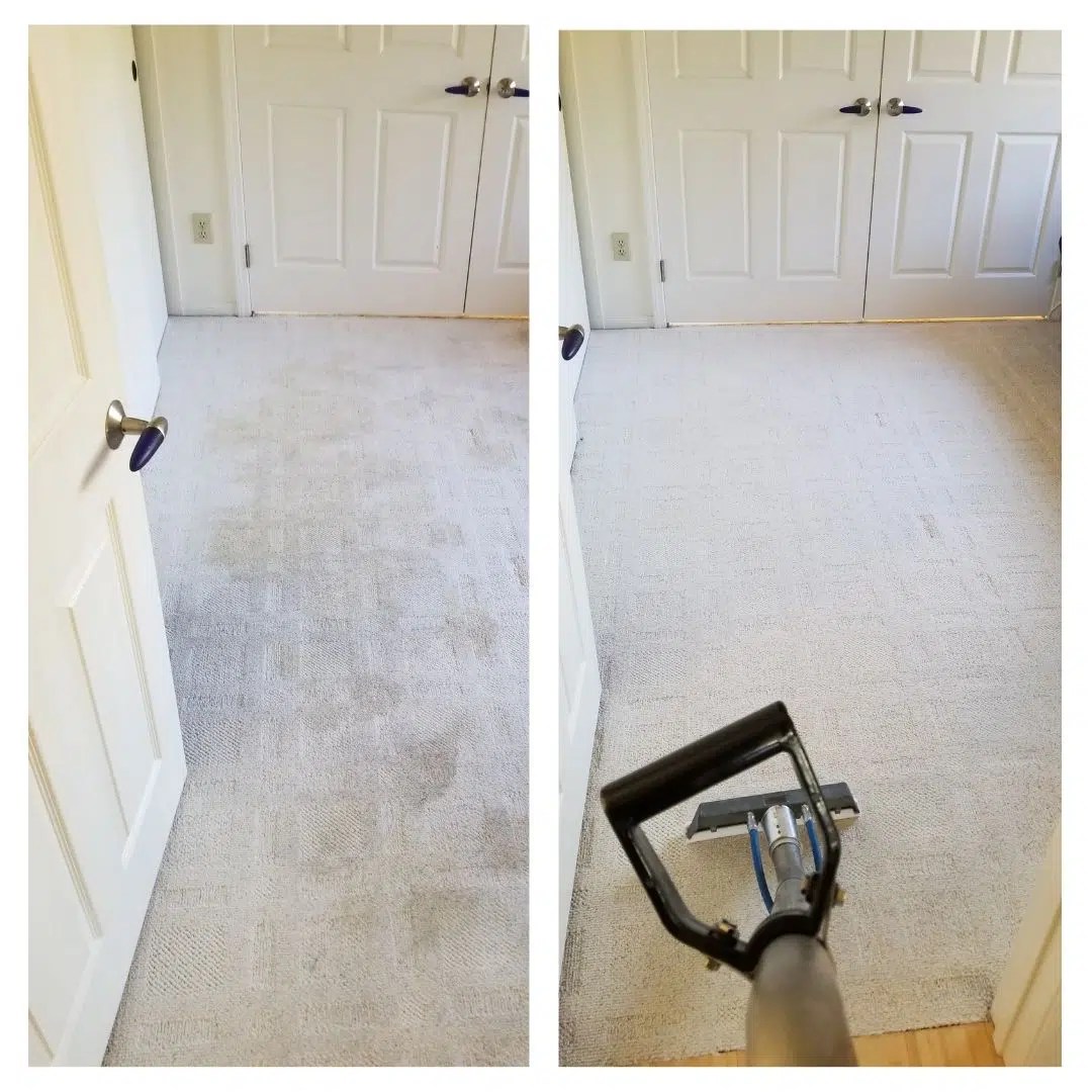 Monster Steamer 10 off Monster Steamer