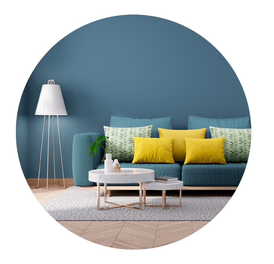 Carpet Cleaning San Diego Monster Steamer