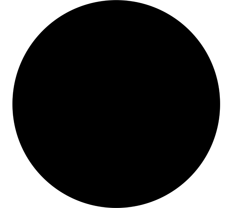 Carpet Cleaning San Diego Monster Steamer