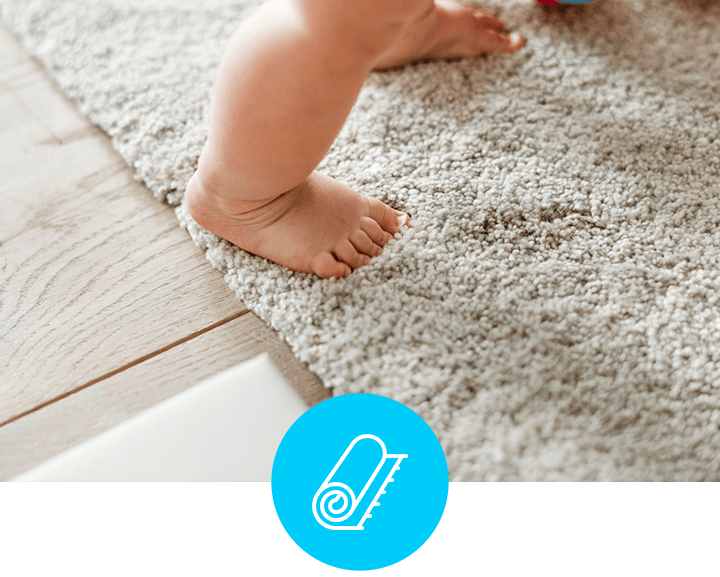 Carpet Cleaning San Diego Monster Steamer