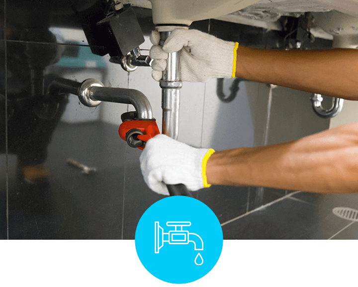 Carpet Cleaning San Diego Monster Steamer