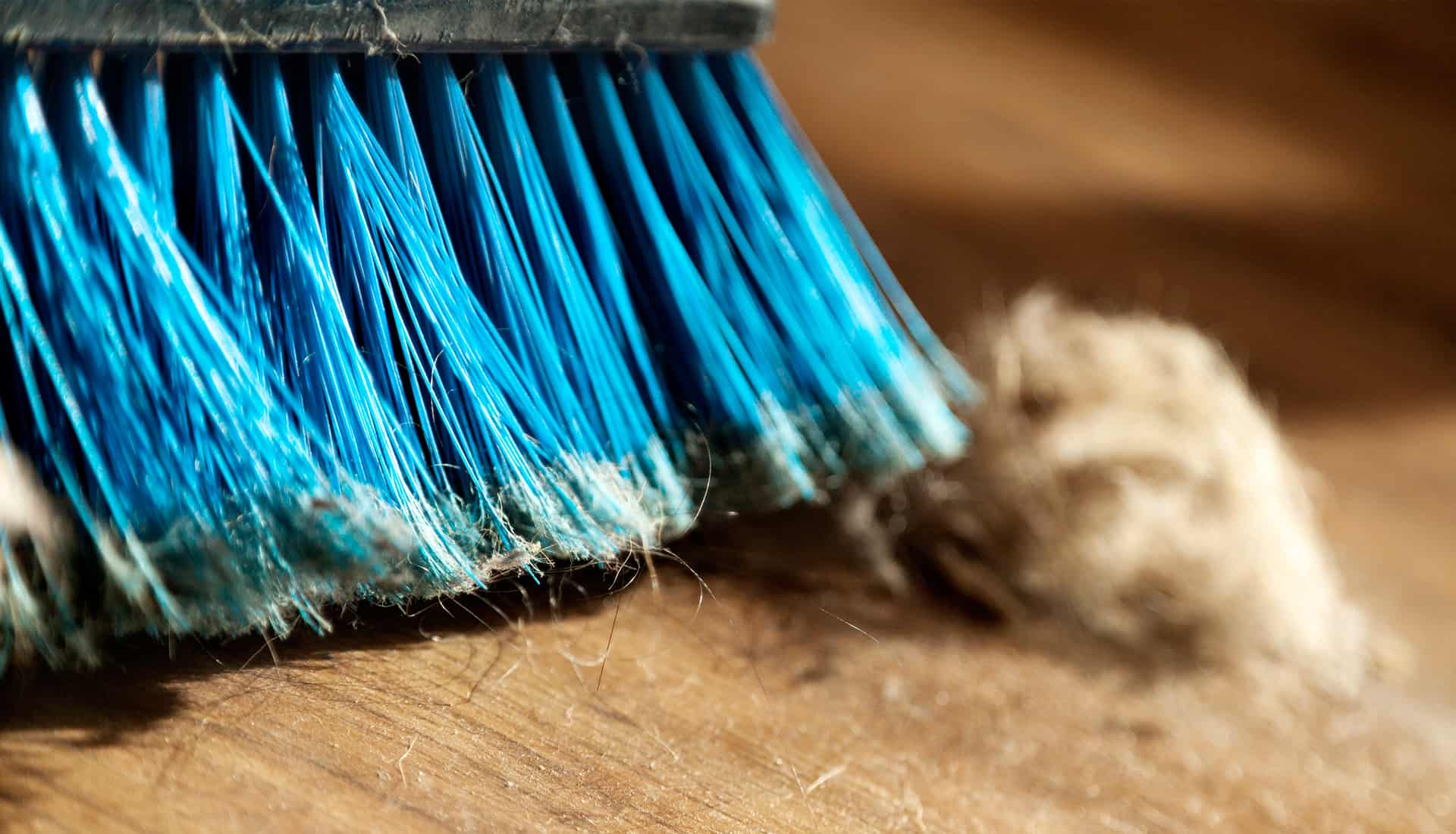 Monster Vac Monster Vac Air Duct Cleaning