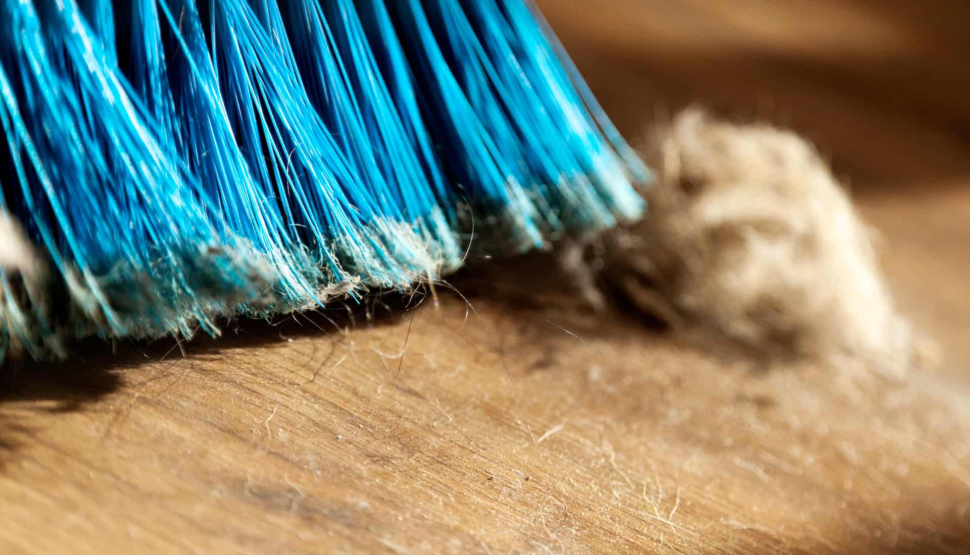 Monster Vac Monster Vac Air Duct Cleaning