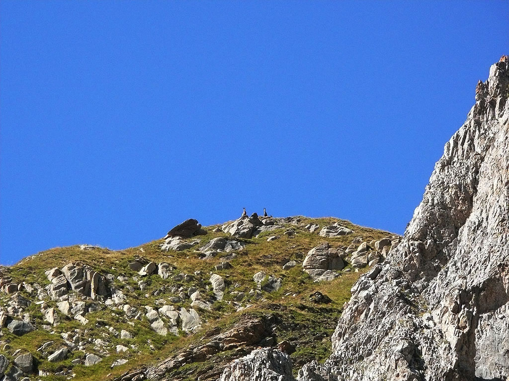 Refuge du Grand Plan (2300 m) Petit Mont Blanc (2677 m) Vanoise
