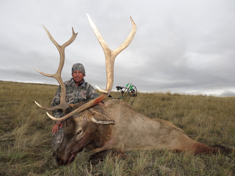 Montana Elk Hunting Trips