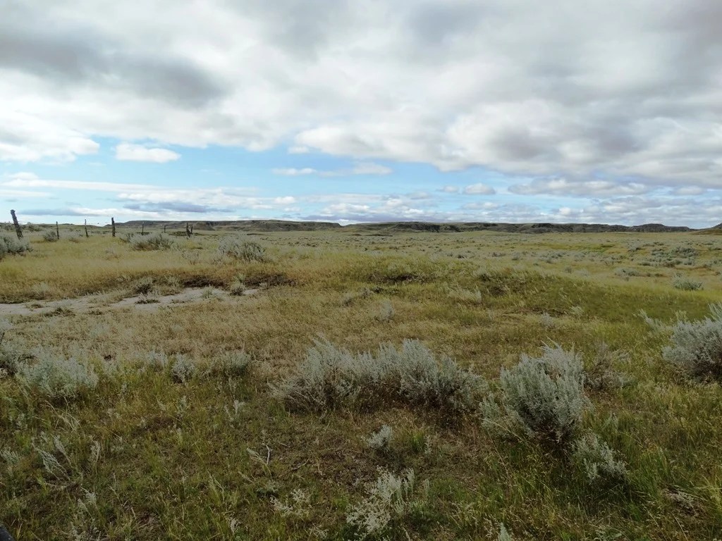 Two SW Ranch 3,300,000 Haxby, MT Montana Farm and Ranch Brokers