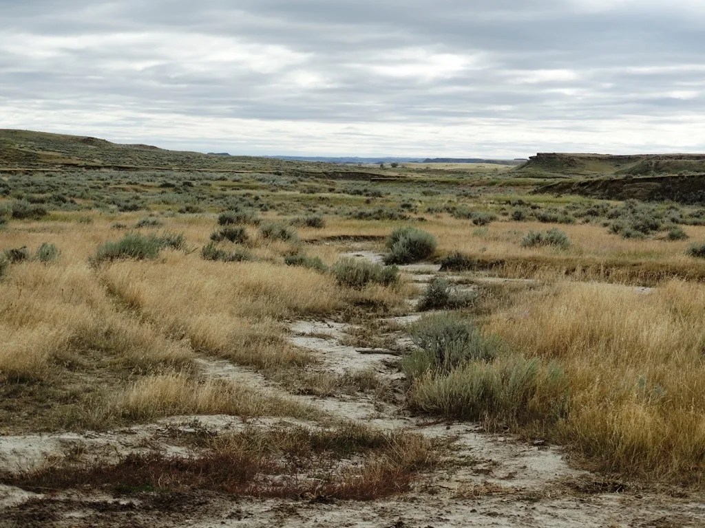 Two SW Ranch 3,300,000 Haxby, MT Montana Farm and Ranch Brokers