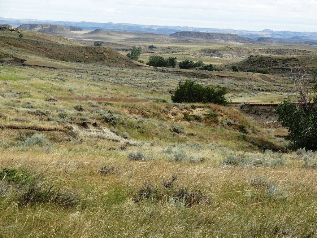 Two SW Ranch 3,300,000 Haxby, MT Montana Farm and Ranch Brokers