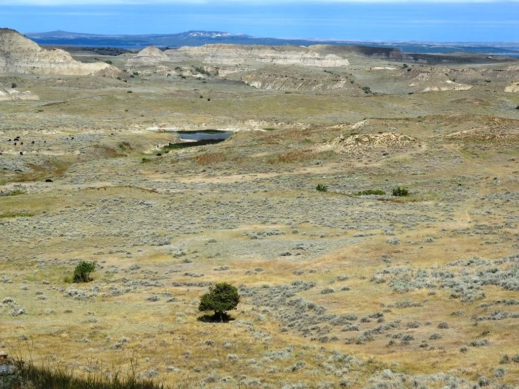 Two SW Ranch 3,300,000 Haxby, MT Montana Farm and Ranch Brokers