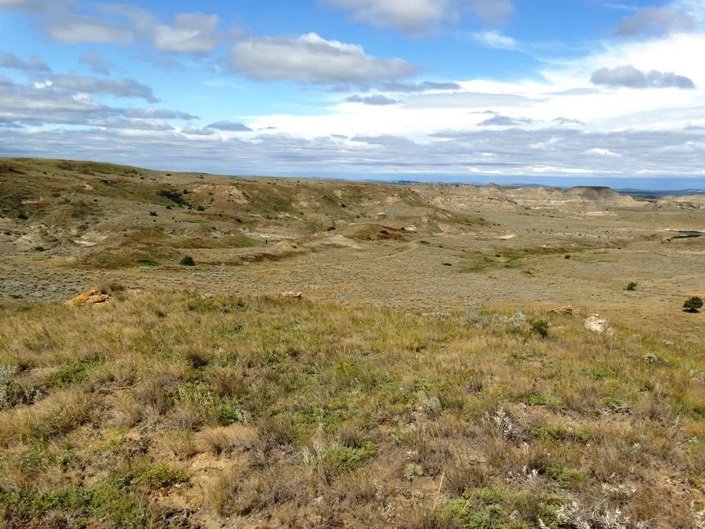 Two SW Ranch 3,300,000 Haxby, MT Montana Farm and Ranch Brokers