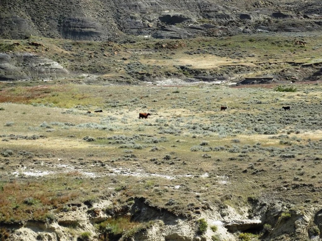 Two SW Ranch 3,300,000 Haxby, MT Montana Farm and Ranch Brokers