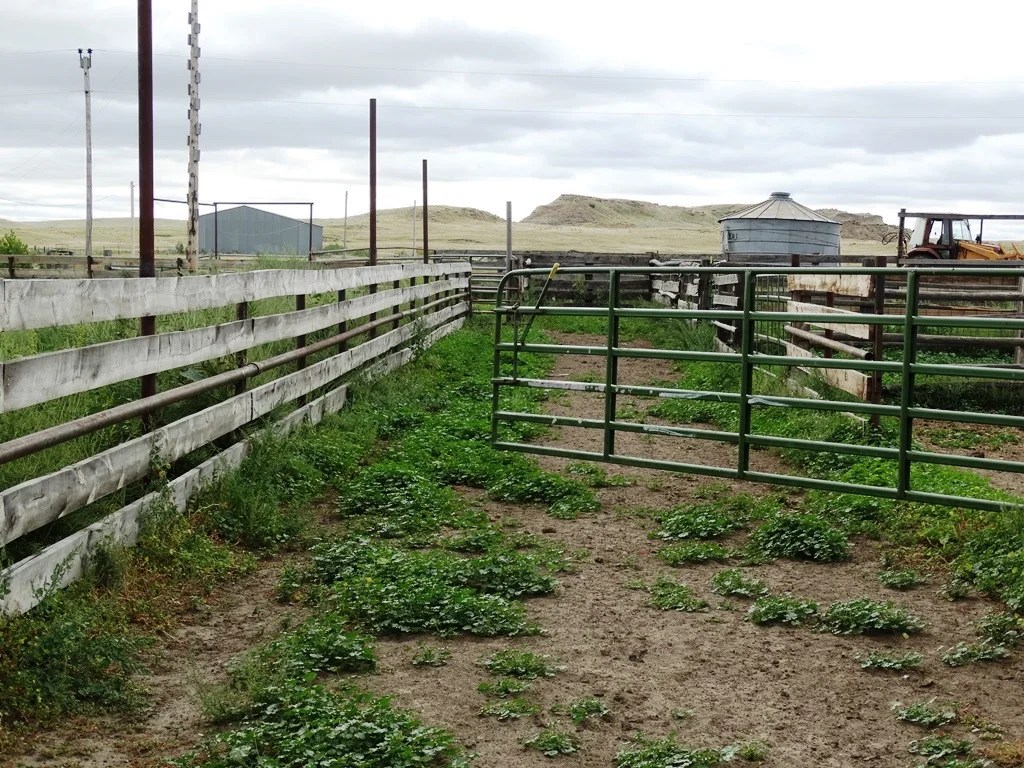 Two SW Ranch 3,300,000 Haxby, MT Montana Farm and Ranch Brokers