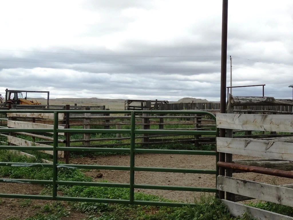 Two SW Ranch 3,300,000 Haxby, MT Montana Farm and Ranch Brokers