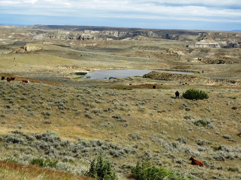 Two SW Ranch 3,300,000 Haxby, MT Montana Farm and Ranch Brokers