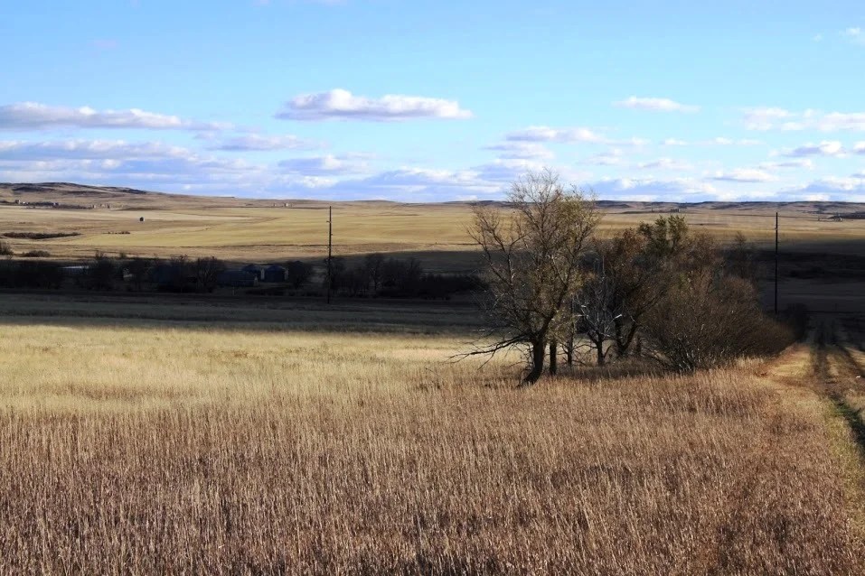 2 Bar J Farm 495,000 Lambert, MT 59243 Montana Farm and Ranch