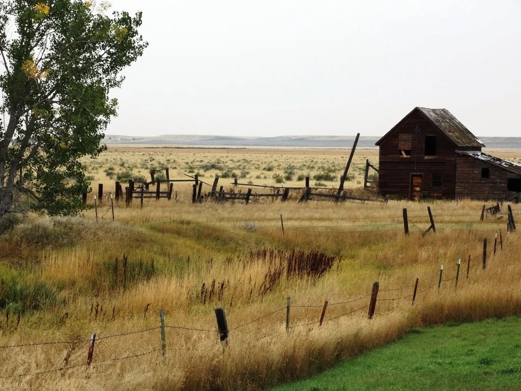 Oswald Ranch 1,149,000 Acton, MT 59002 Montana Farm and Ranch
