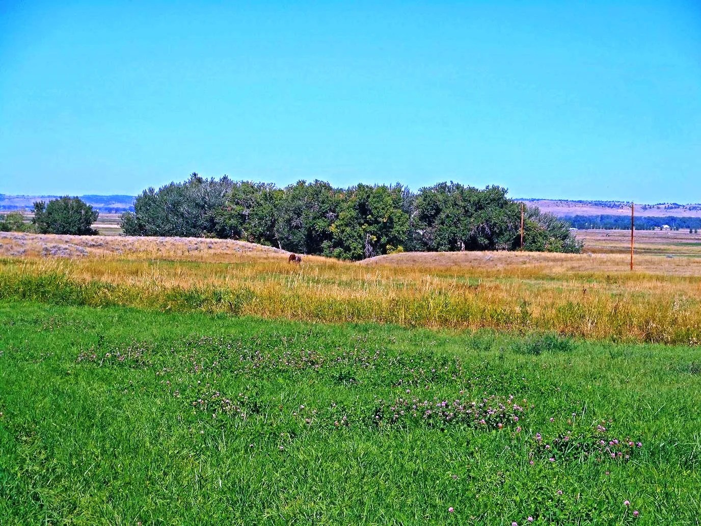 Wolters’ Montana Ranch 590,000 Ballantine, MT 59006 Montana Farm