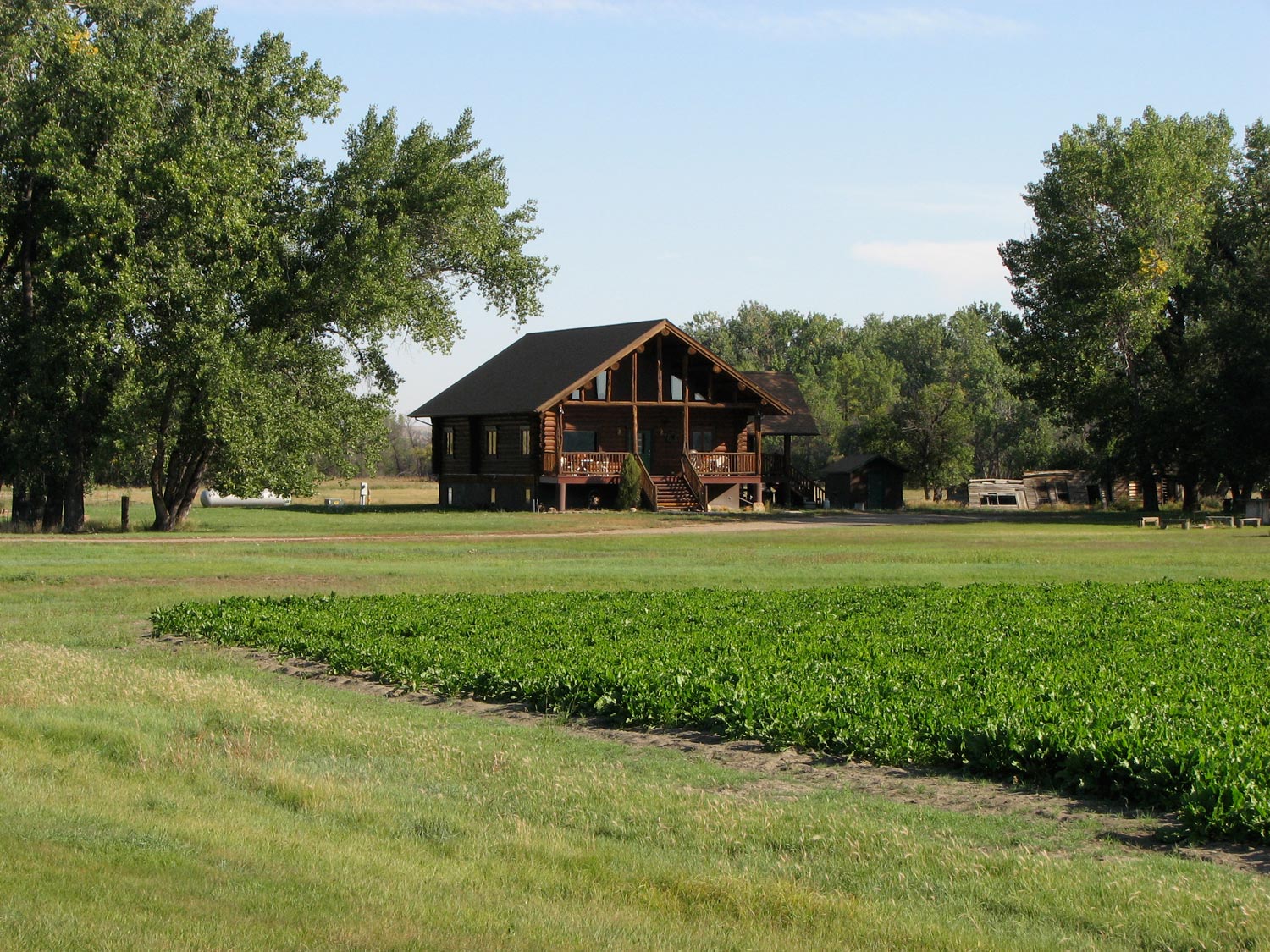 Guided hunts Montana River Ranch