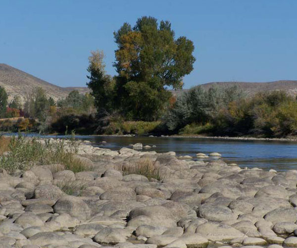 Montana Ranch Vacations BEARTOOTH RIVER RANCH Belfry, Montana