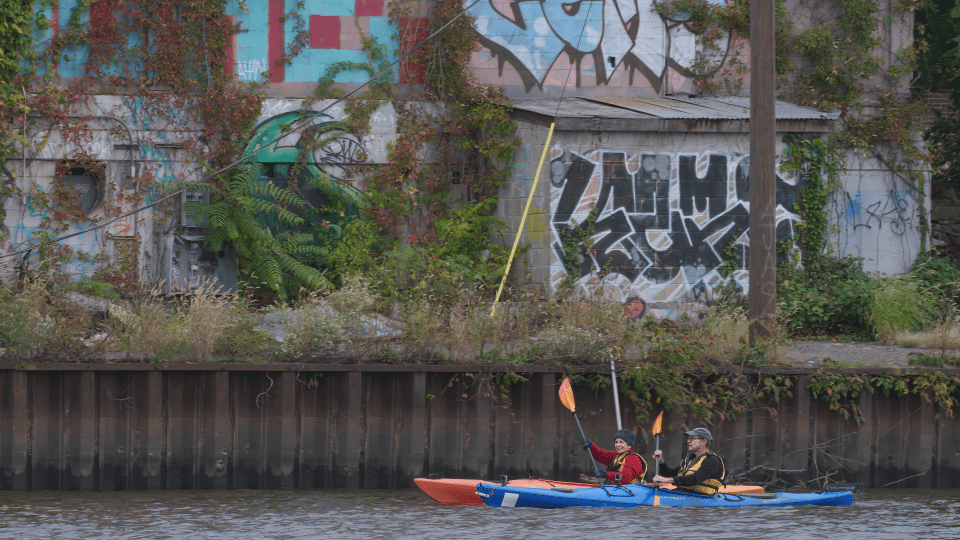 American River Montclair Film