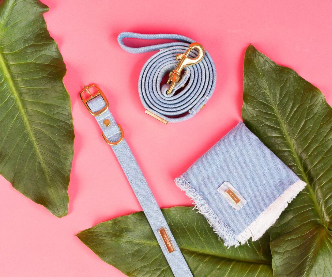 Canadian Dog Accessories MONTECRISTO